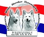 Zwitserse Witte Herder Vereniging Nederland