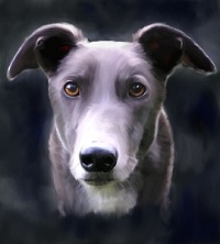 greyhound schilderij