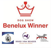 Benelux Winner